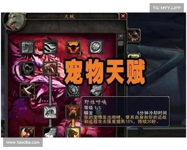 魔兽世界攻击强度提升攻略 魔兽世界攻击强度提升攻略