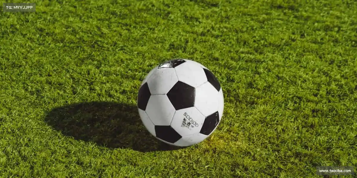 j9真人游戏第一平台——滑板少年，用轮子画出自由！